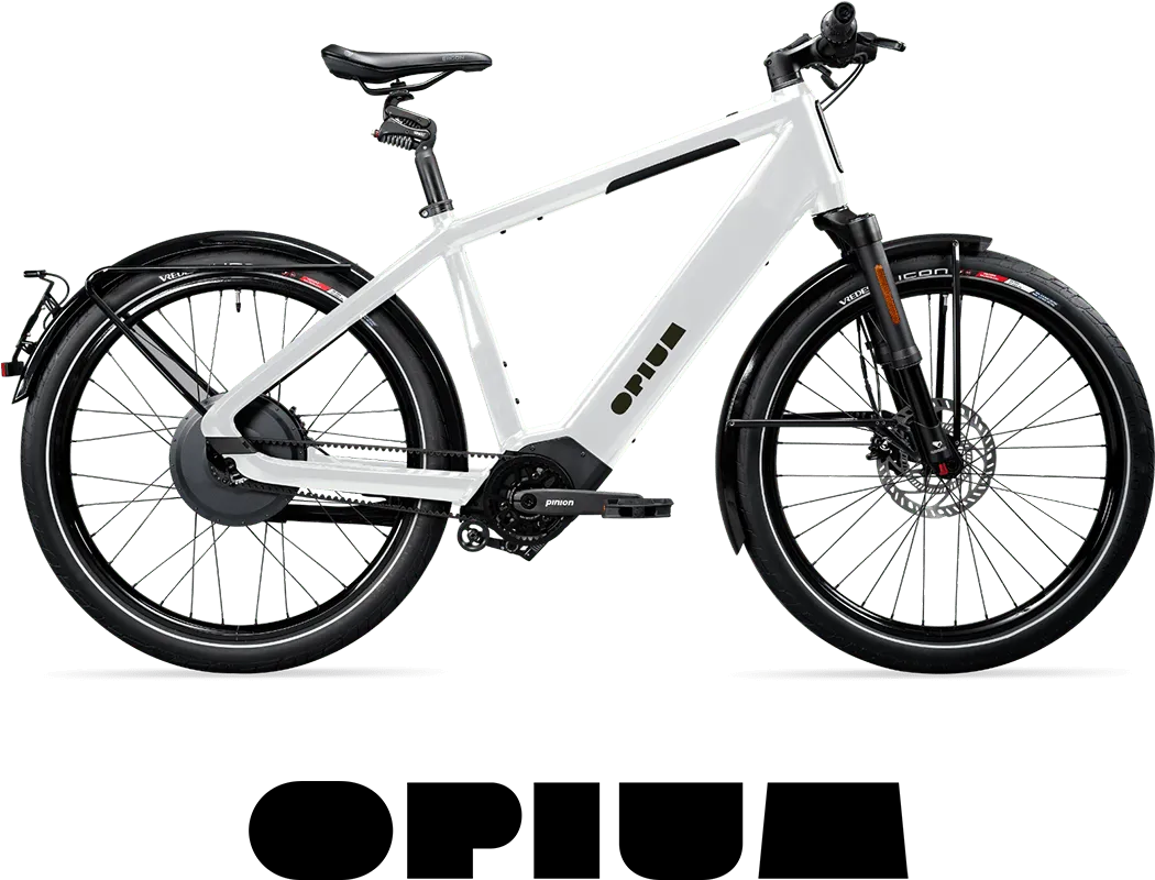 Diamant fietsen
